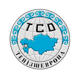 Логотип заказчика 11