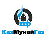 Логотип заказчика 14